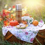 How to Plan the Perfect Picnic: Tips and Tricks